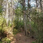 Apartmán Preciosas Vistas A La Montana, Luminoso Y Acogedor El Pueyo de Araguás