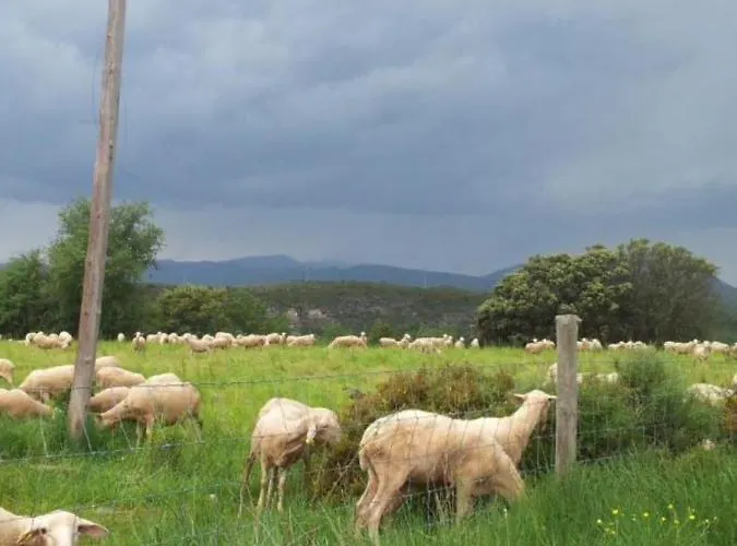 Apartamento Preciosas Vistas A La Montaña, Luminoso Y Acogedor