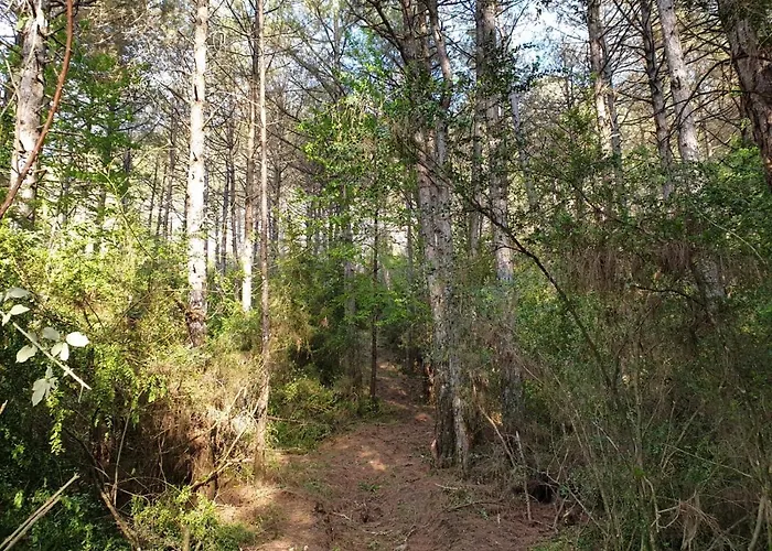 Apartamento Preciosas Vistas A La Montaña, Luminoso Y Acogedor El Pueyo de Araguás